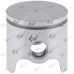 Kit piston motocoasa Kawasaki TG 18 29mm (Terra) 